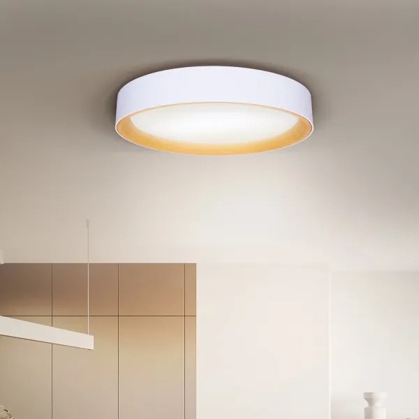 Brilagi -LED Stmievateľné svietidlo LARIOS LED/48W/230V 3000-6500K ø 39 cm biela+DO