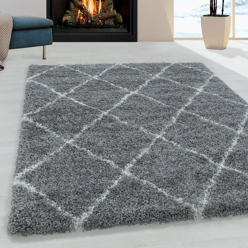 Sivý koberec 160x230 cm Alvor – Ayyildiz Carpets