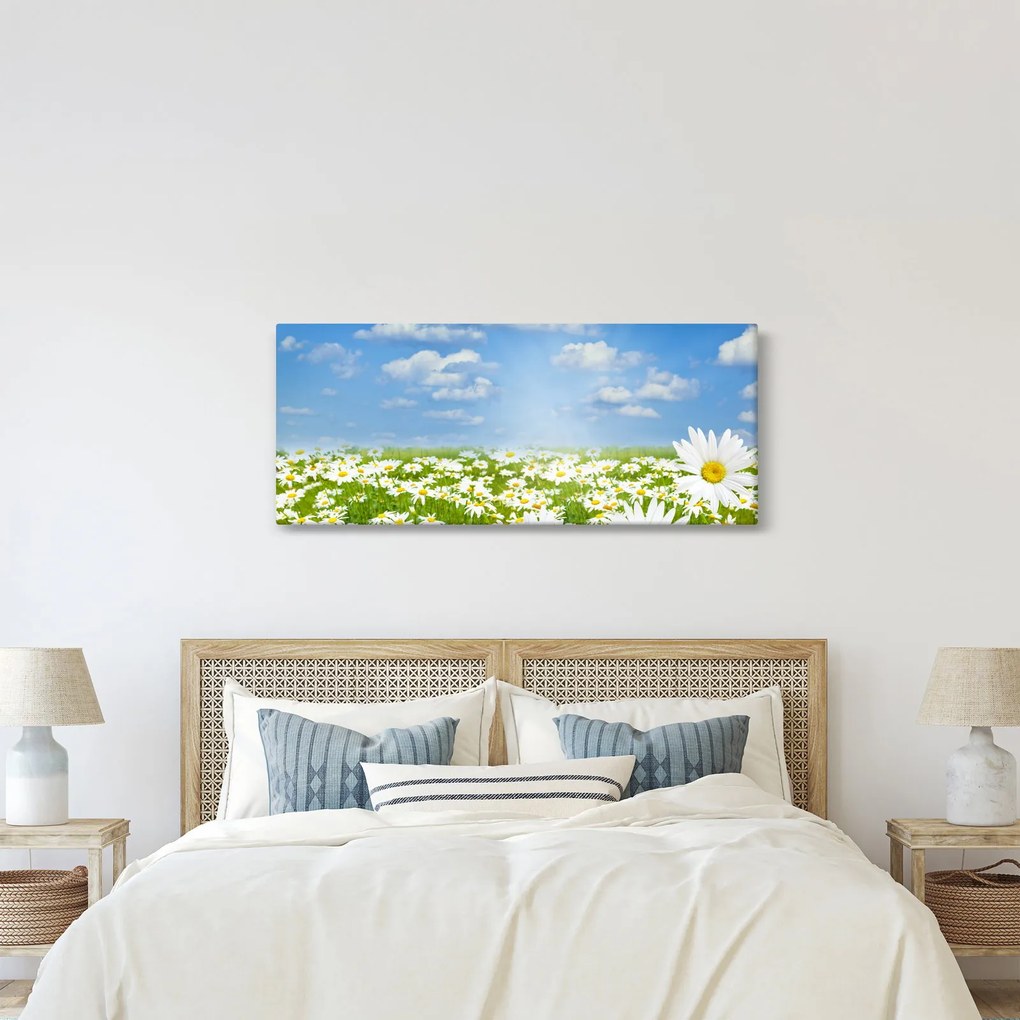 Obraz rozkvitnutej lúky s margarétkami (120x50 cm)
