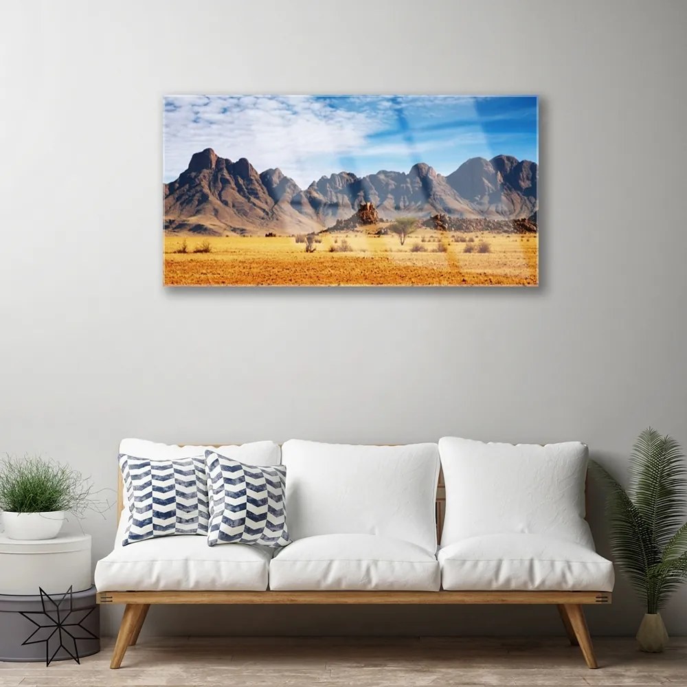 Obraz plexi Púšť hory príroda 100x50 cm