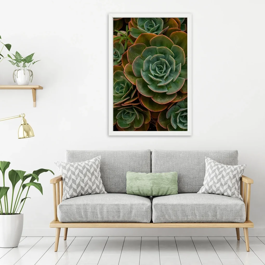 Gario Plagát Dekoratívne sukulenty Farba rámu: Bez rámu, Rozmery: 30 x 45 cm
