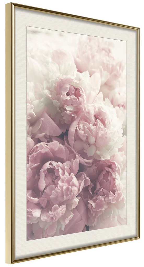 Artgeist Plagát - Delicate Peonies [Poster] Veľkosť: 30x45, Verzia: Zlatý rám