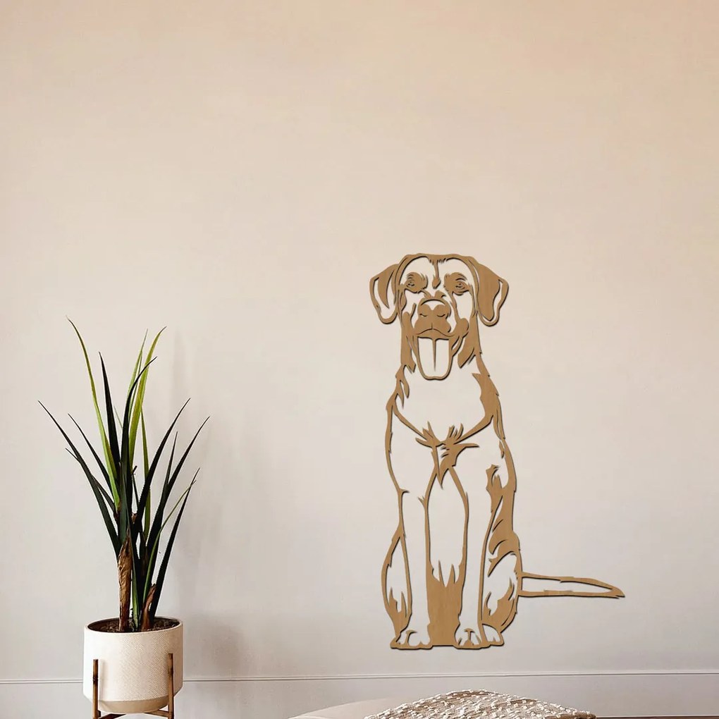 dřevo života Drevená dekorácia psa Ridgeback Rozmery - cm: 19x30, Zvoľte farbu dekoru: Buk