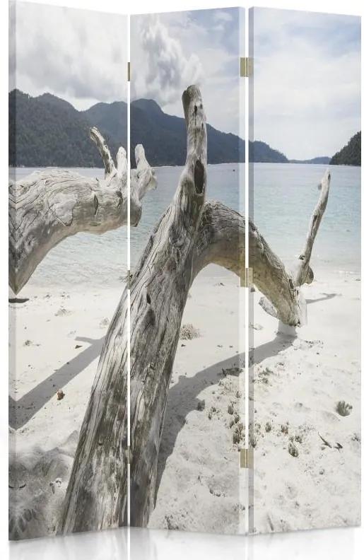 CARO Paraván - Tree Branches On A Tropical Beach | trojdielny | jednostranný 110x150 cm