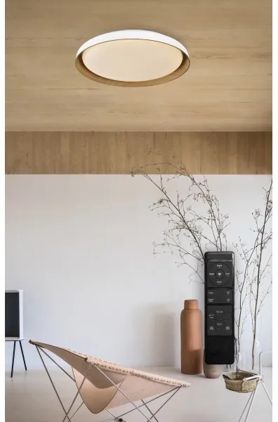 Top Light-LED Stm. stropné svietidlo SATELLITE LED/36W/230V 3000-6500K biela + DO