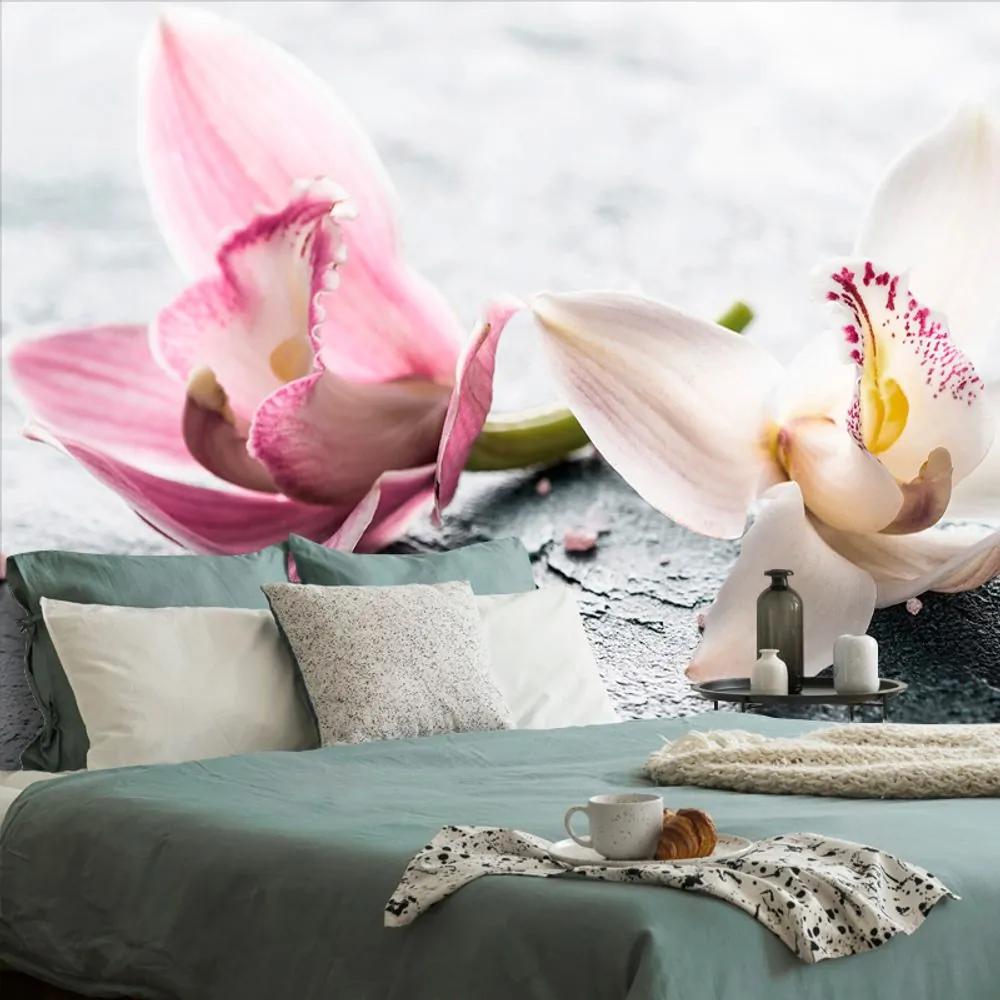 Fototapeta romantické kvety divokej orchidey