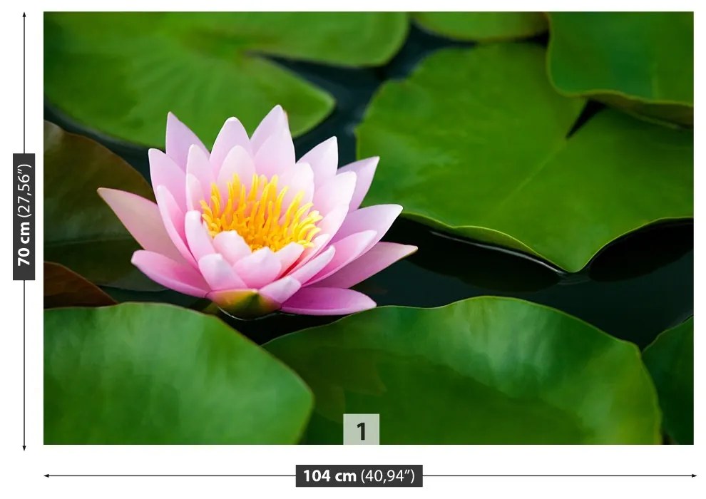 Fototapeta Vliesová Lotosový kvet 250x104 cm
