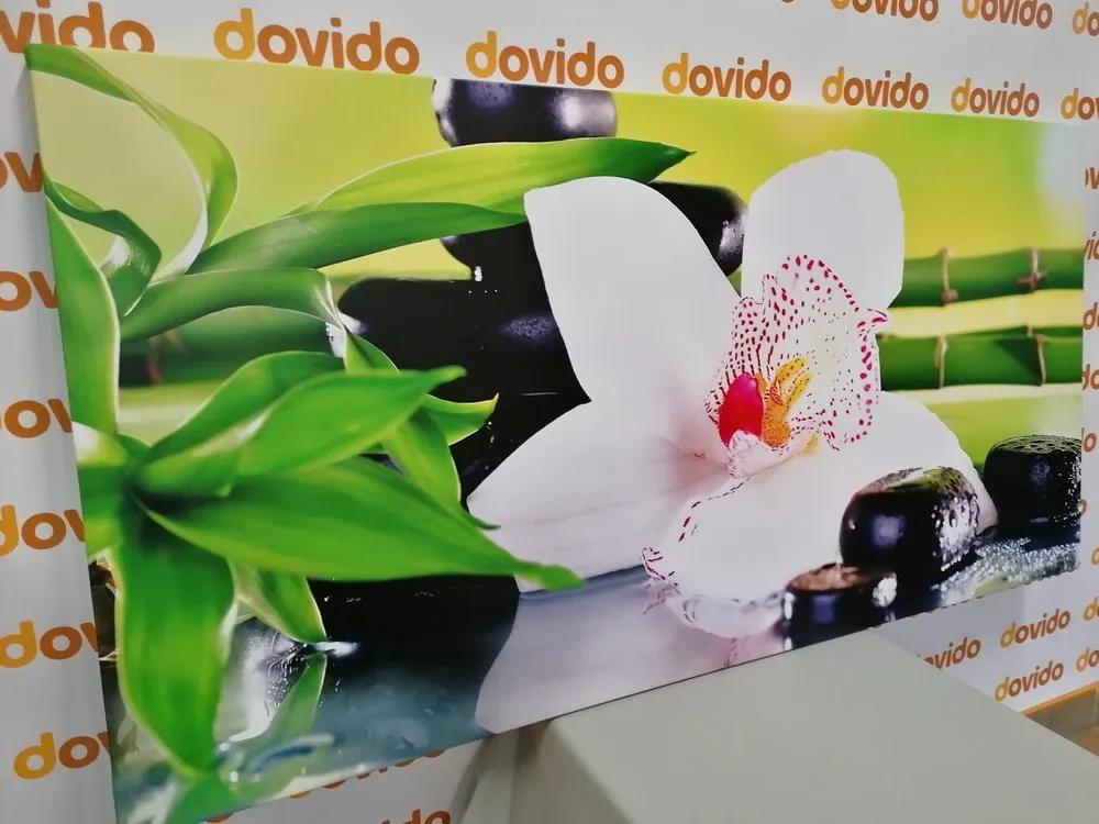 Obraz zen zátišie s orchideou