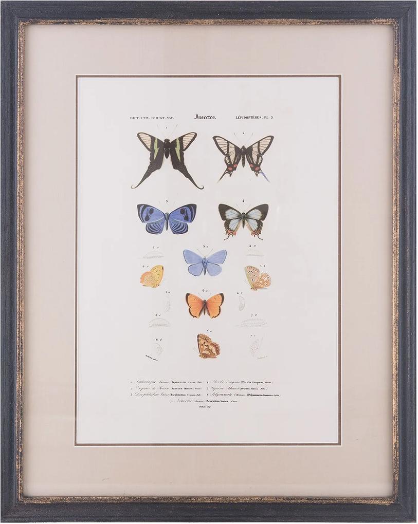 Obraz v drevenom ráme s motýľmi - 38 * 2 * 48 cm