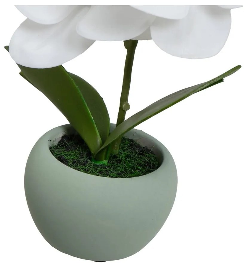 Umelé rastliny v súprave 3 ks (výška 15 cm) Orchid – Casa Selección
