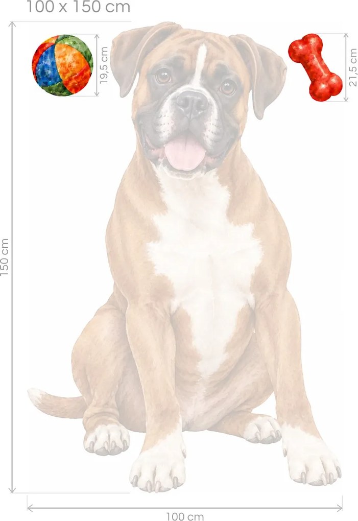 Boxer s loptičkou a kosťou akvarelové textilné nálepky na stenu pre milovníkov boxerov arch 31 x 46 cm