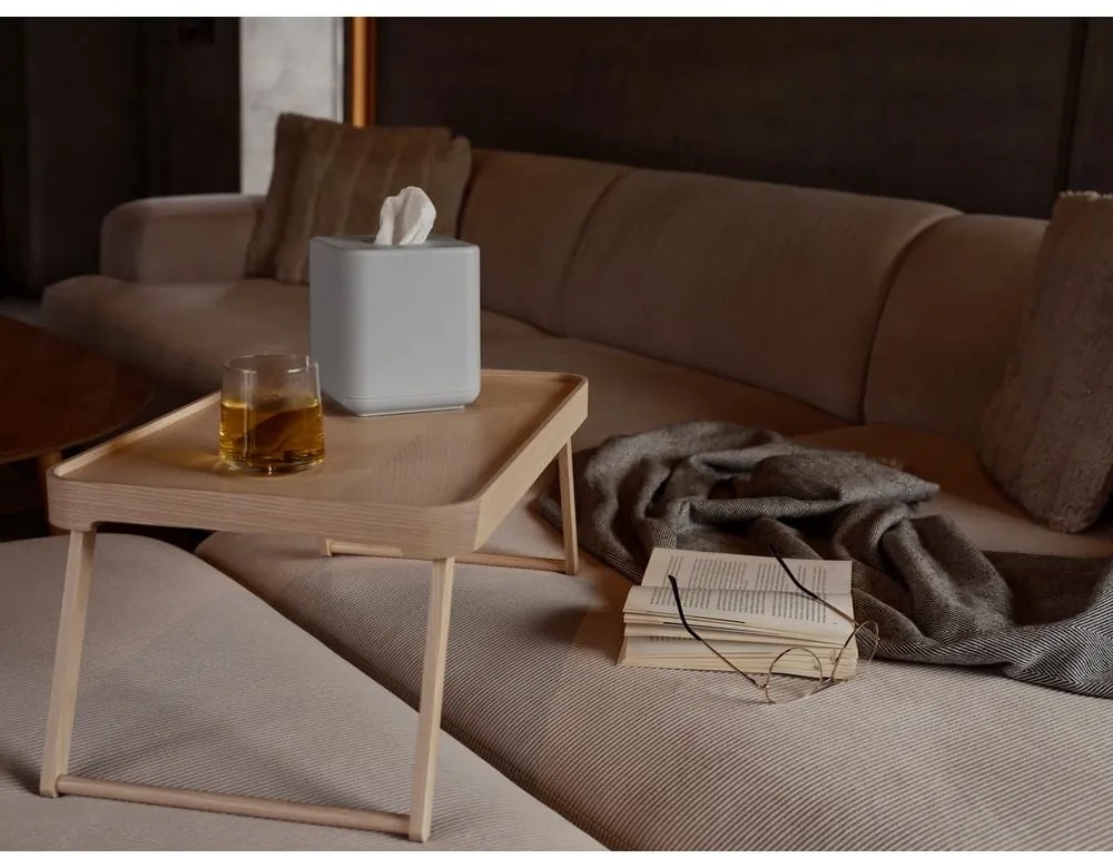 Plastový box na vreckovky Ume – Zone