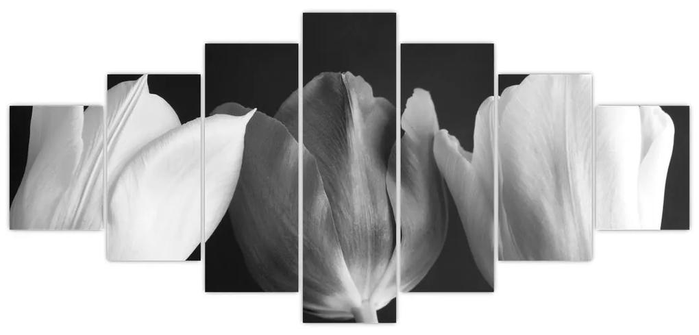 Čiernobiely obraz - tri tulipány