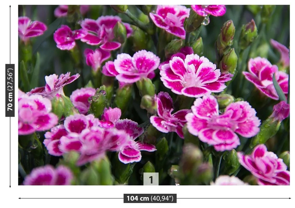 Fototapeta Vliesová Ružové kvety 250x104 cm