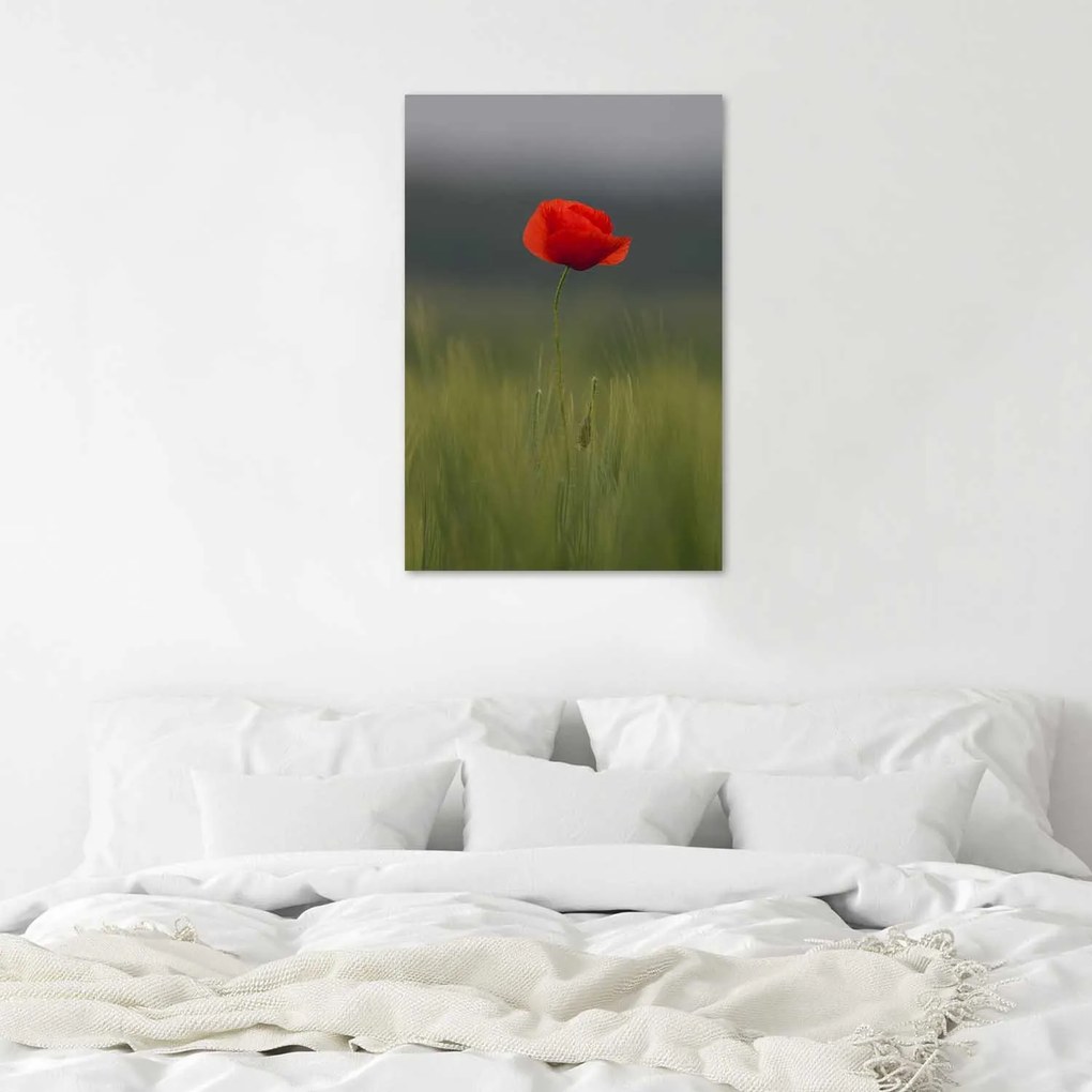 Gario Plagát Mak na poli Farba rámu: Bez rámu, Rozmery: 40 x 60 cm
