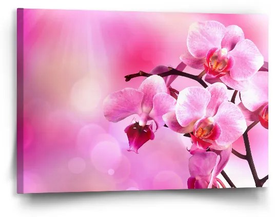 Sablio Obraz Kvety orchidey - 90x60 cm