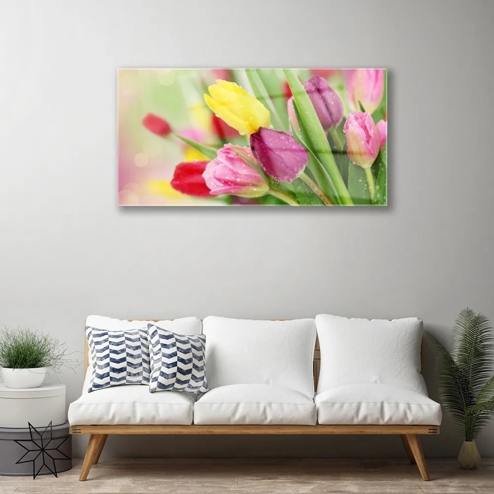 Obraz na skle Tulipány kvety rastlina 100x50 cm