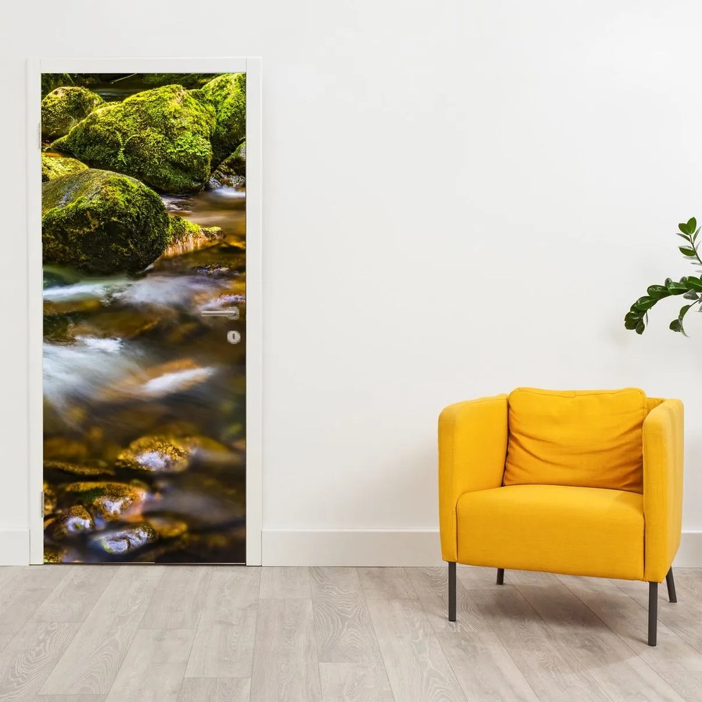 Fototapeta na dvere - Potôčik (95x205cm)