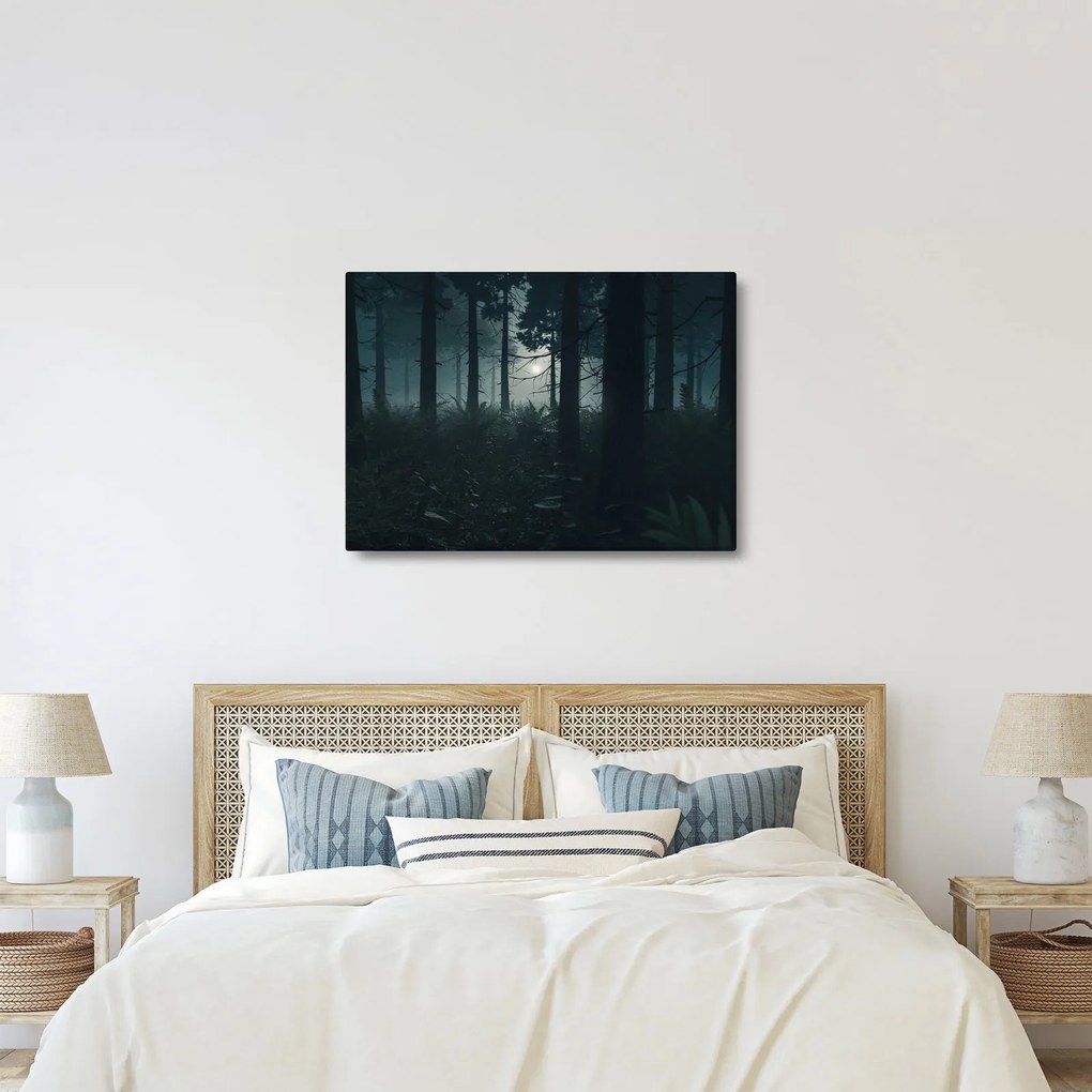 Obraz - Paprade v mesačnom svite (70x50 cm)