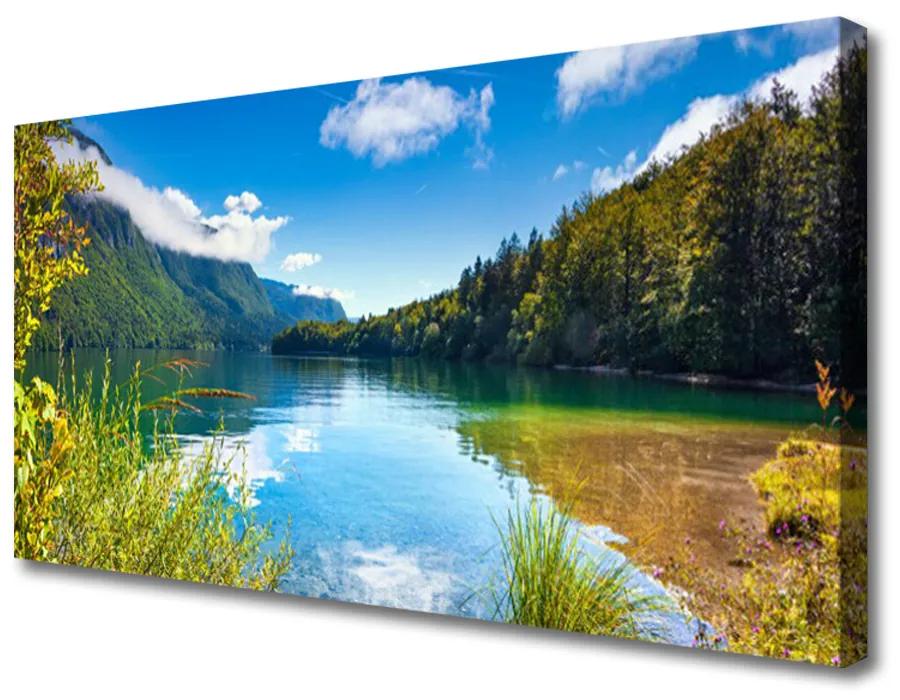 Obraz Canvas Hory les príroda jazero 140x70 cm