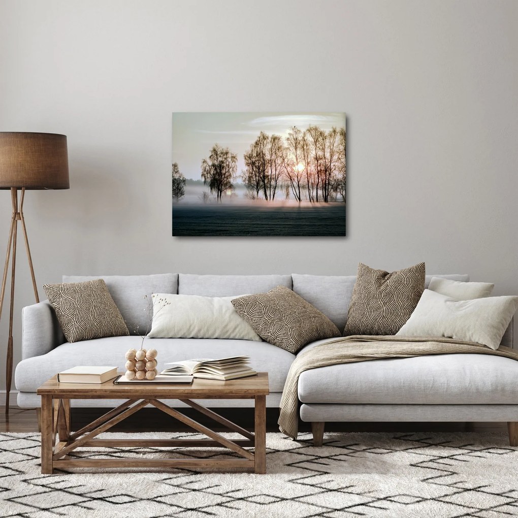 Obraz - Ranná sychravosť (70x50 cm)