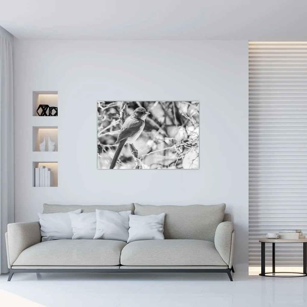 Obraz - Modrý vták v zime (90x60 cm)
