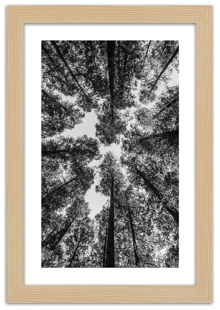 Gario Plagát Koruny stromov Farba rámu: Bez rámu, Rozmery: 40 x 60 cm