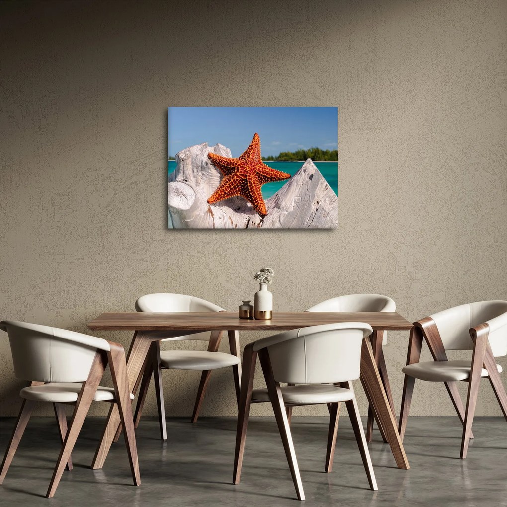 Obraz morskej hviezdice (70x50 cm)