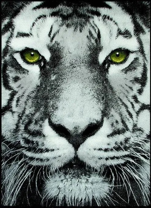Koberec Rainbow 11179/190 tiger