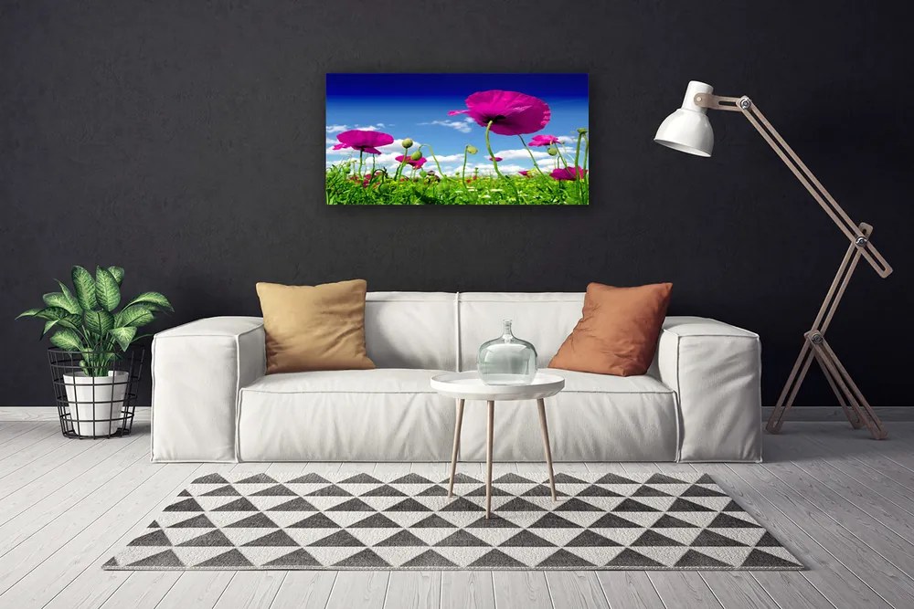 Obraz Canvas Lúka kvety nebo príroda 120x60 cm