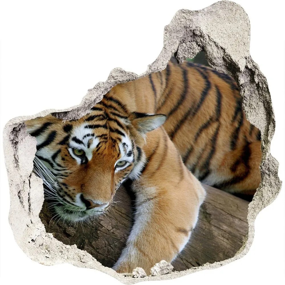 Diera 3D fototapety nálepka Tiger na strome WallHole-75x75-piask-4289086