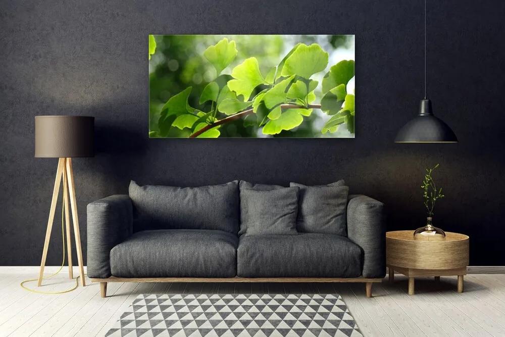 Obraz plexi Vetvy listy príroda strom 120x60 cm