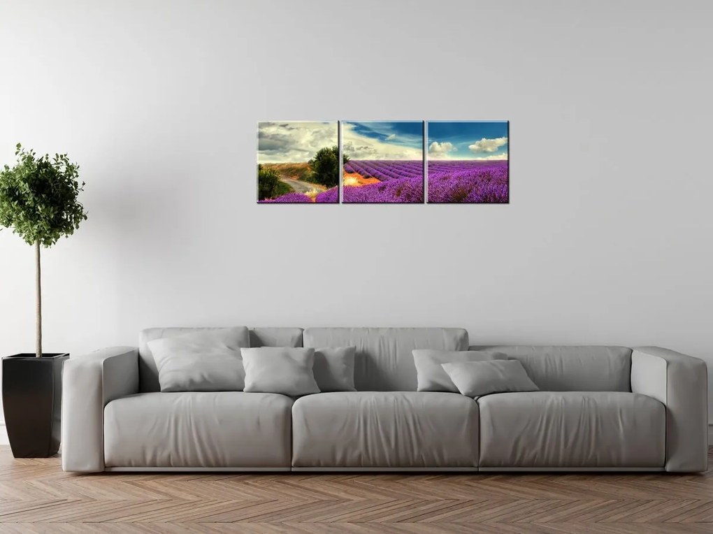 Gario Obraz na plátne Čarovná levanduľová krajina - 3 dielny Rozmery: 90 x 30 cm