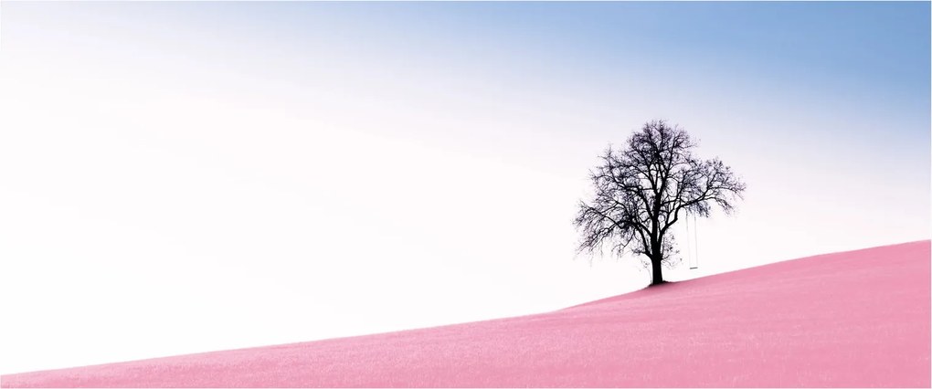 Obraz - Ružový sen (120x50 cm)