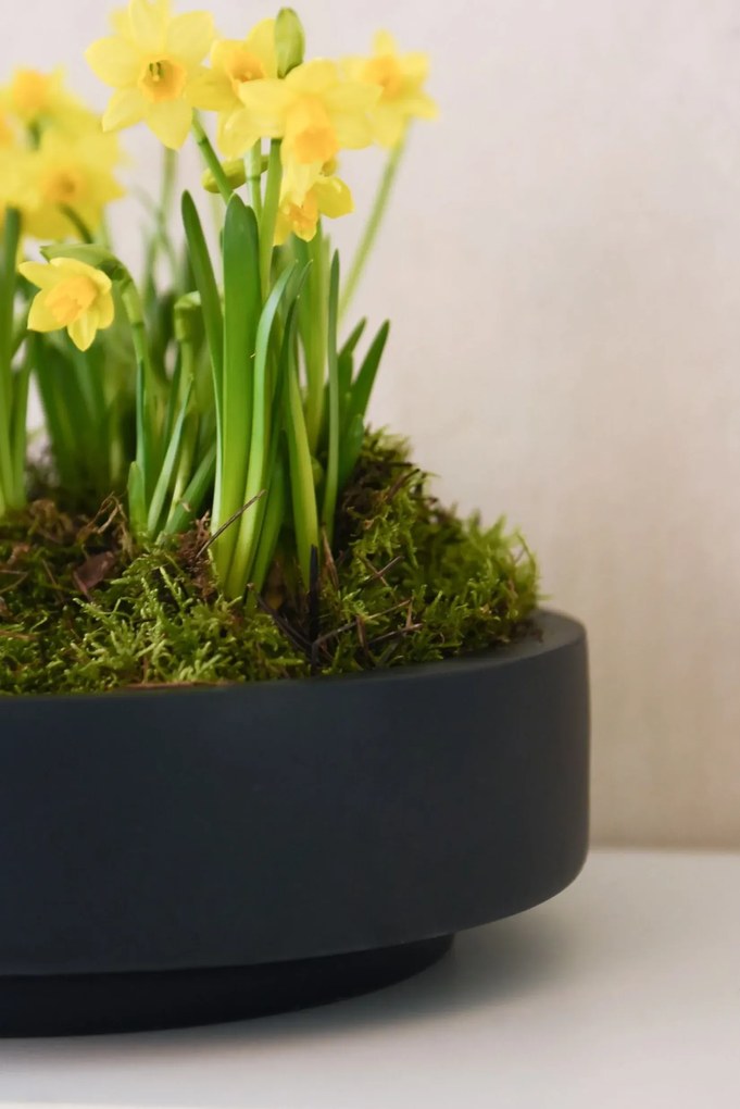 Misa na kvety ESCADA LOW, sklolaminát, priemer 30 cm, antracit