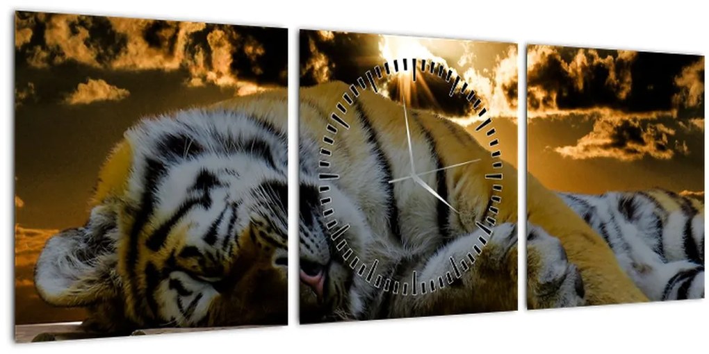Obraz spiaceho tigra (s hodinami) (90x30 cm)