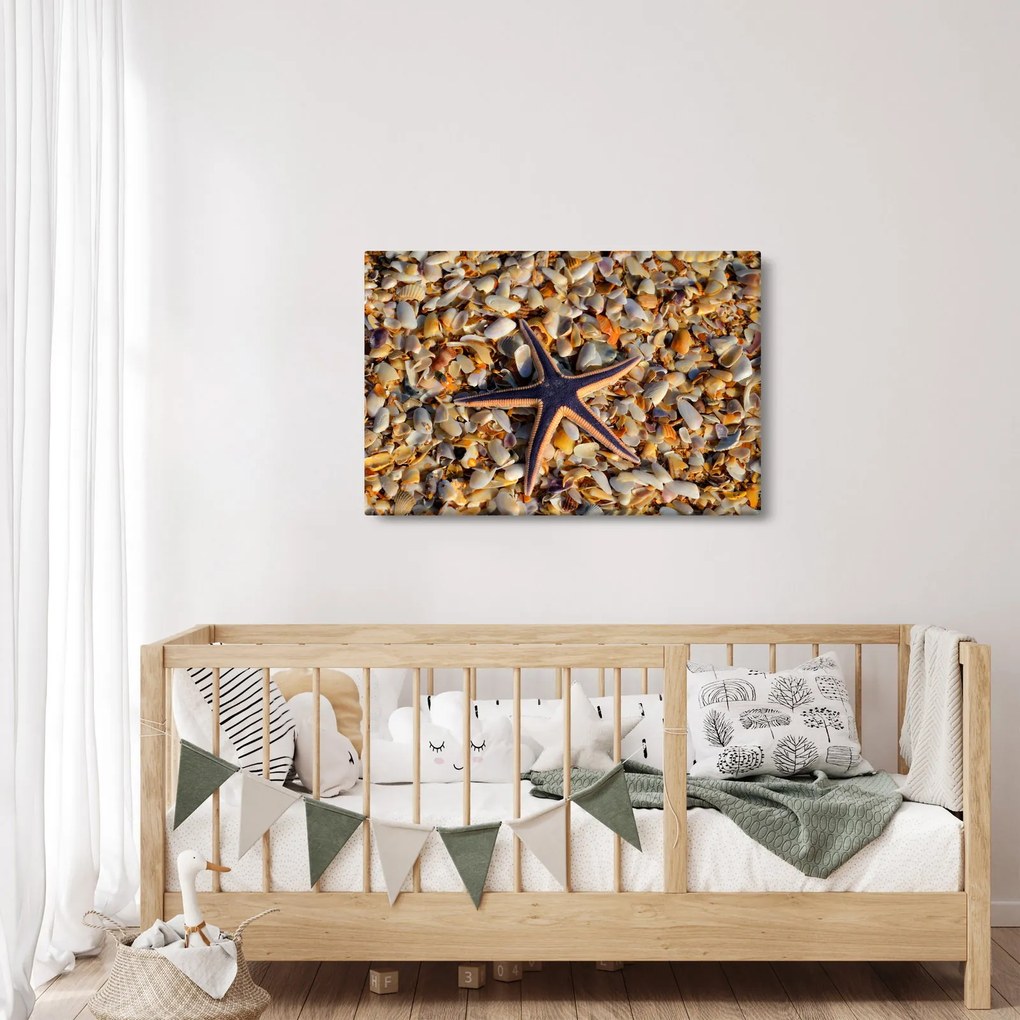 Obraz morskej hviezdice (90x60 cm)