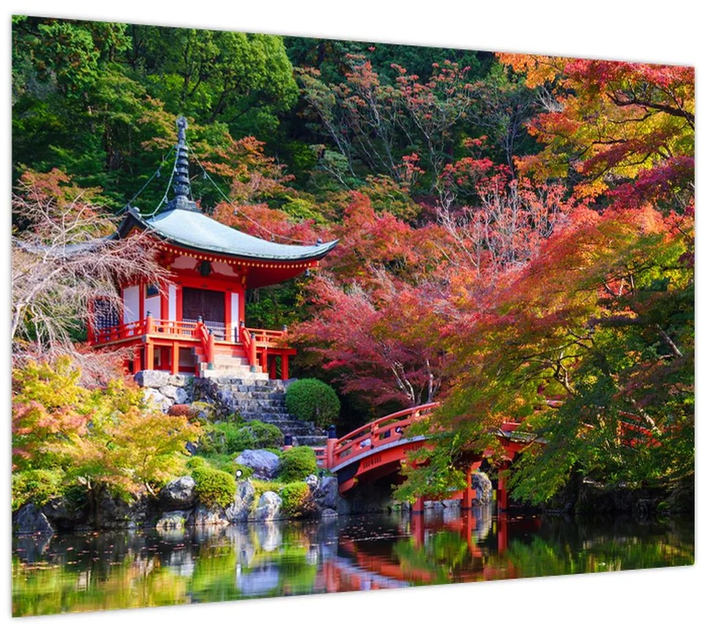 Obraz - Daigodži (70x50 cm)