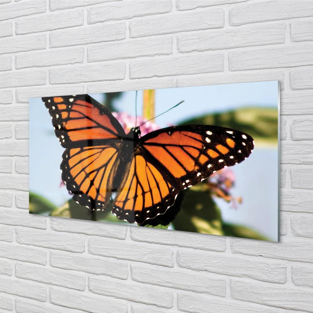 Nástenný panel  farebný motýľ 120x60 cm