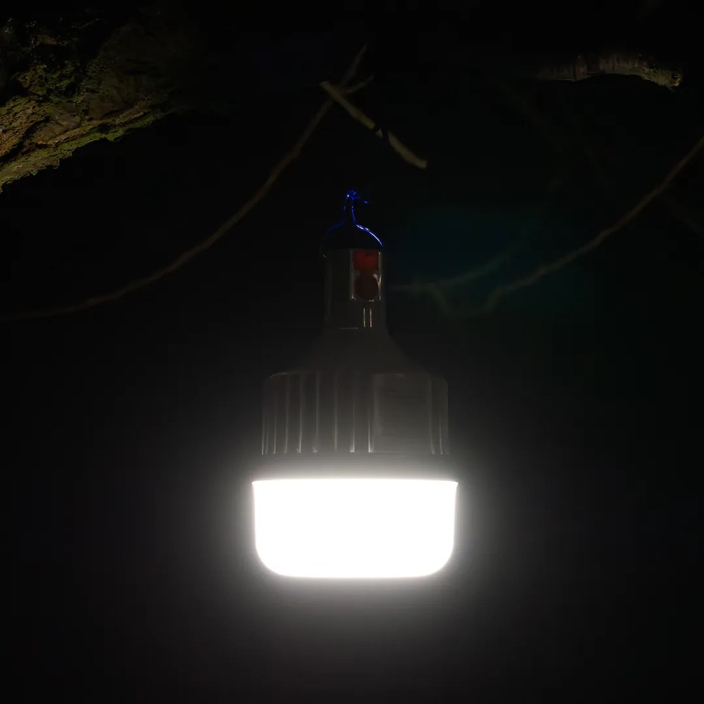 Ecolamp Závesný LED lampáš Bulb, 1x LED 10w