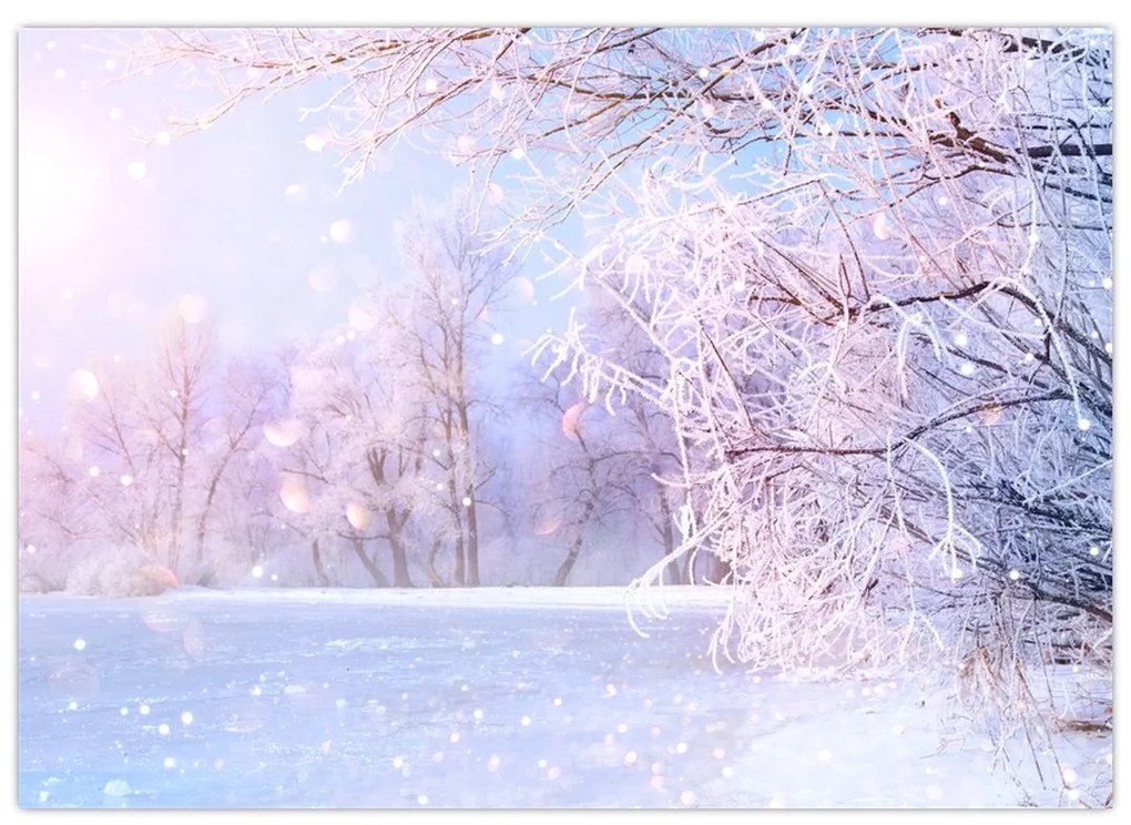 Sklenený obraz - Mrazivá zima (70x50 cm)