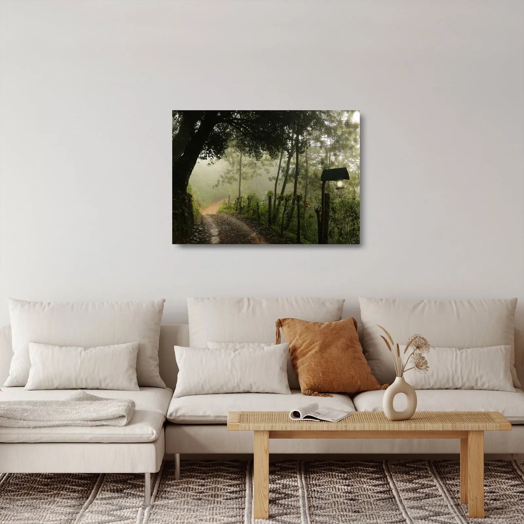 Sklenený obraz rannej hmly (70x50 cm)