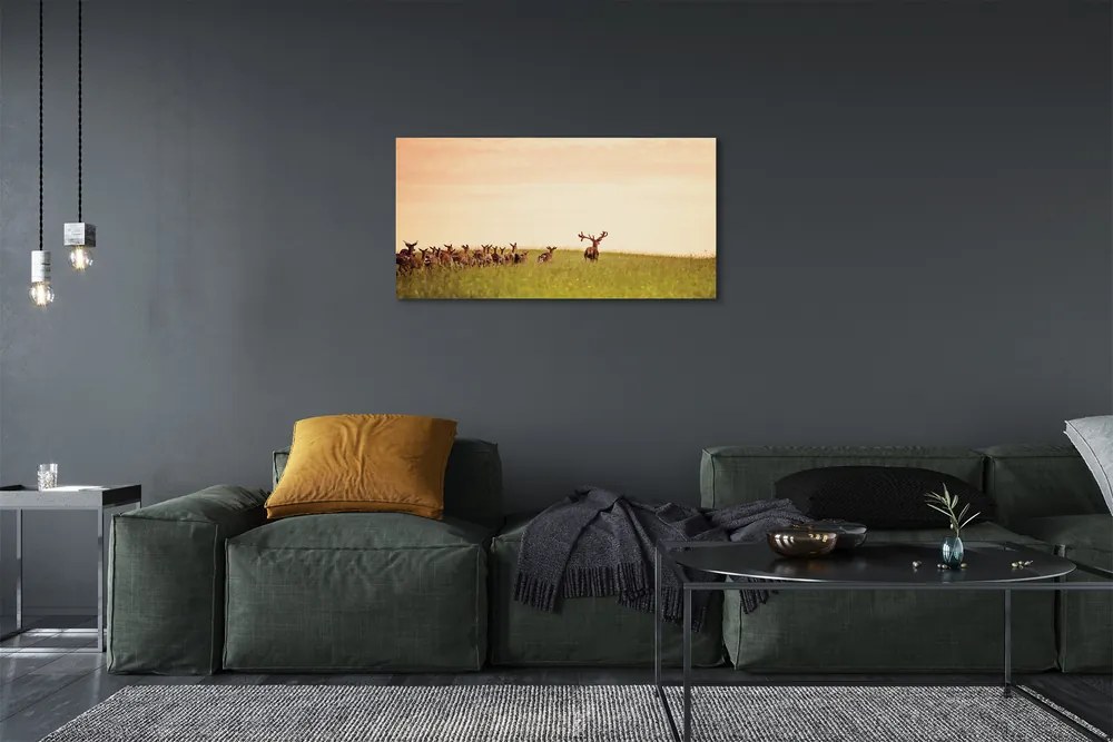 Obraz na plátne Stádo jeleňov poľa svitania 140x70 cm
