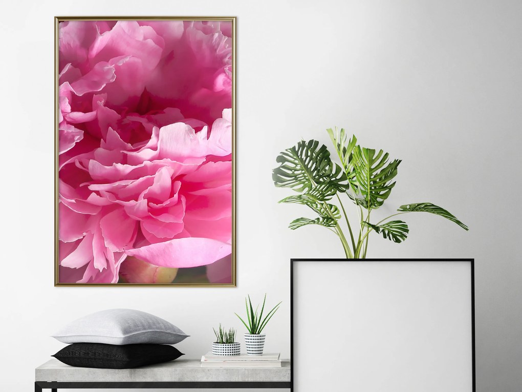 Artgeist Plagát - Beautiful Peonies [Poster] Veľkosť: 20x30, Verzia: Čierny rám