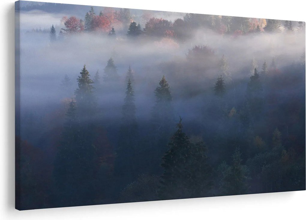 Obraz - Les v hmle, Karpaty, Ukrajina (90x60 cm)