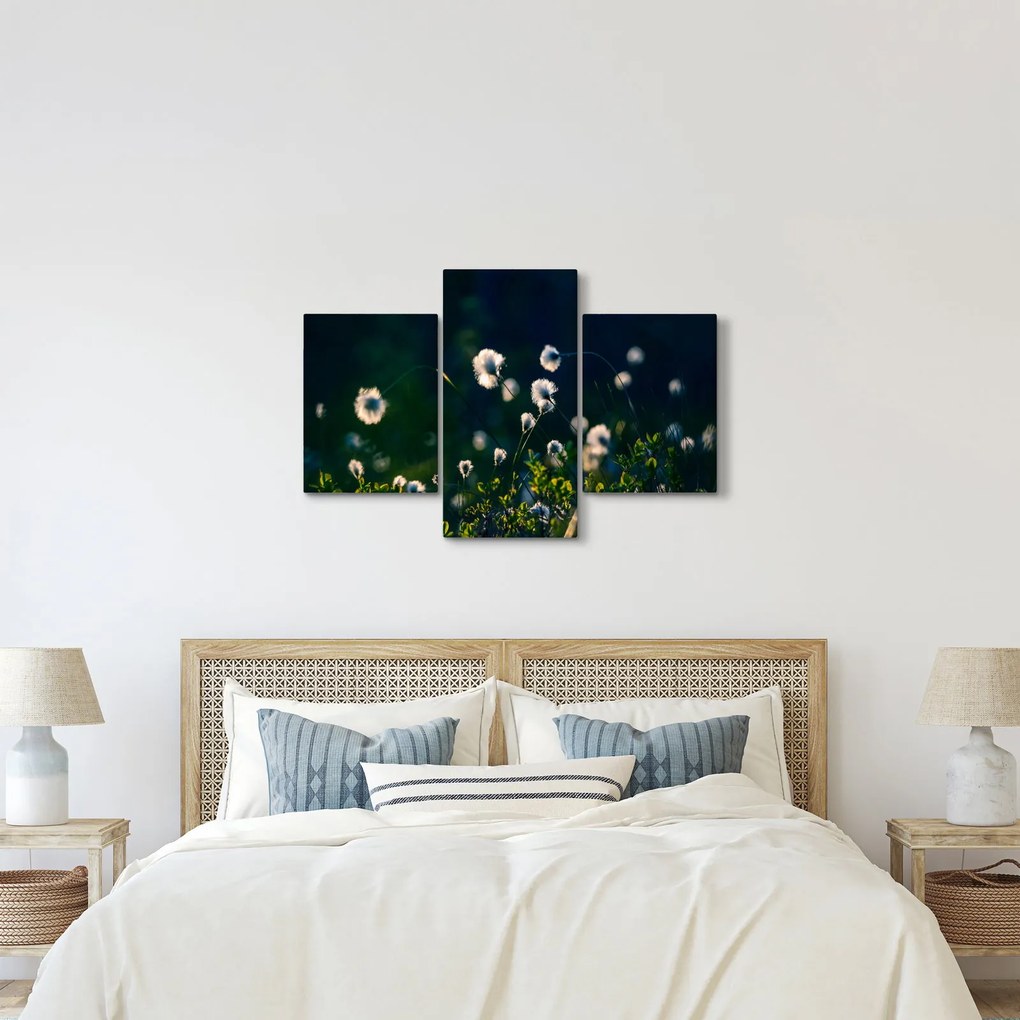 Obraz - Tráva (90x60 cm)