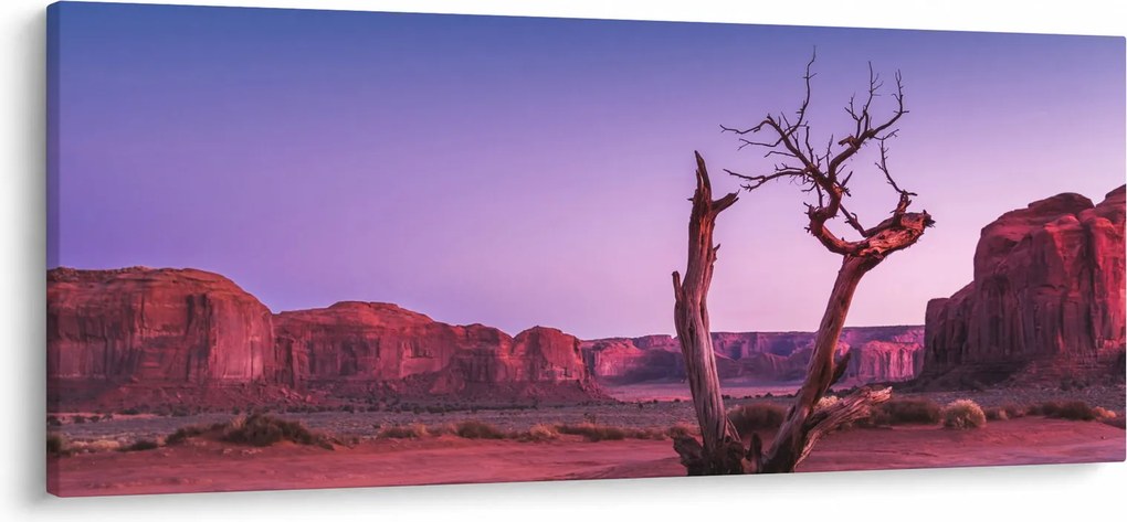 Obraz stromu u červených skál (120x50 cm)