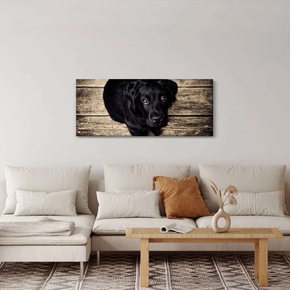 Obraz čierneho šteňaťa (120x50 cm)