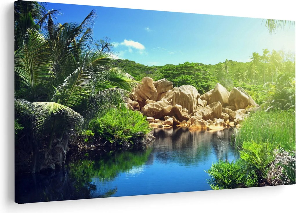 Obraz jazera v Seychelskej džungli (90x60 cm)