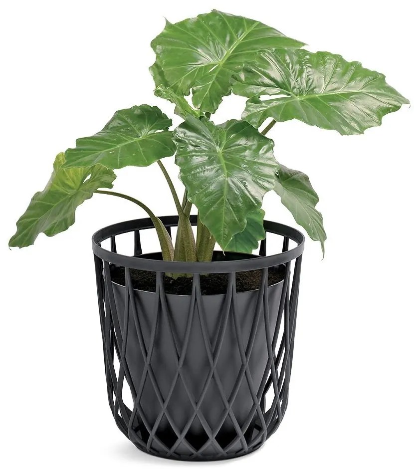 Univerzálny kôš, 20 l, antracit